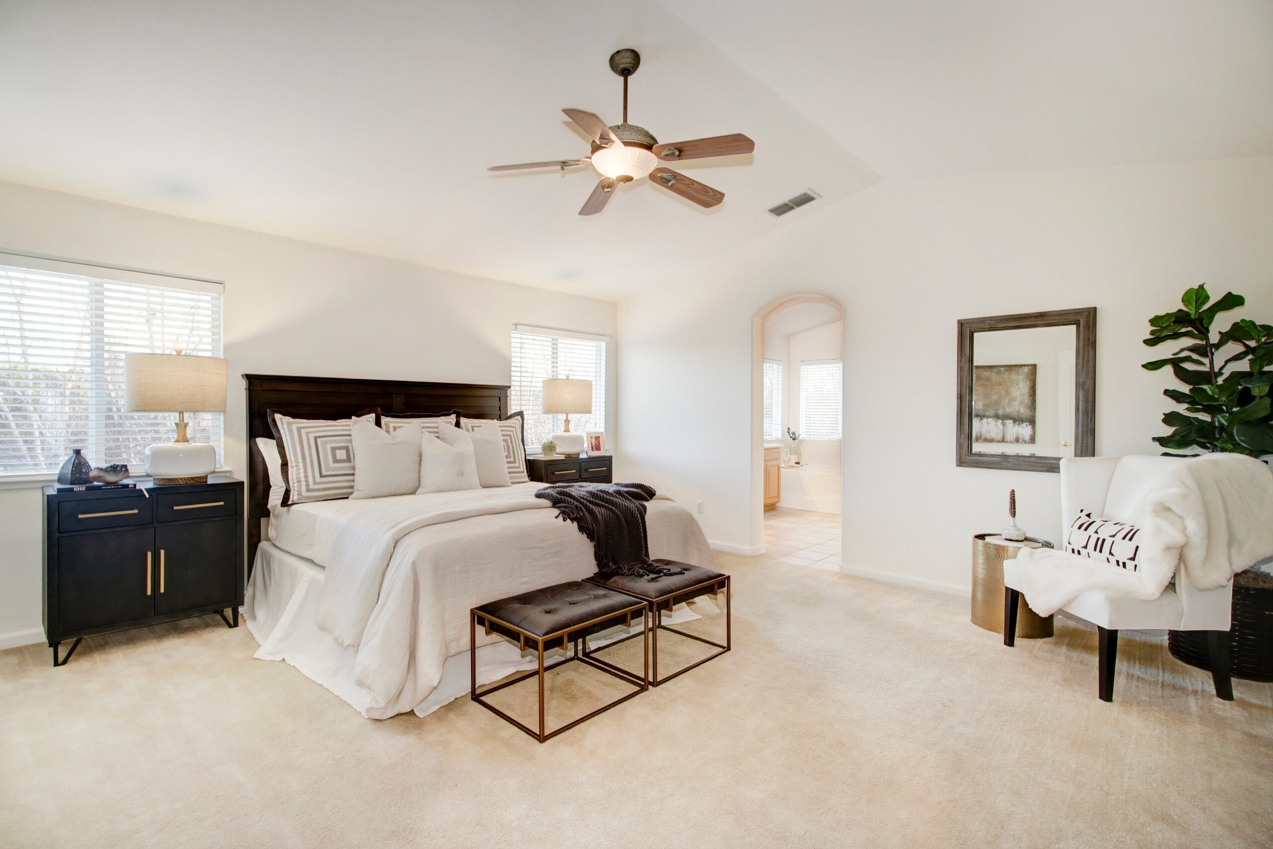 Hyde_Park_Cir_Antelope_10