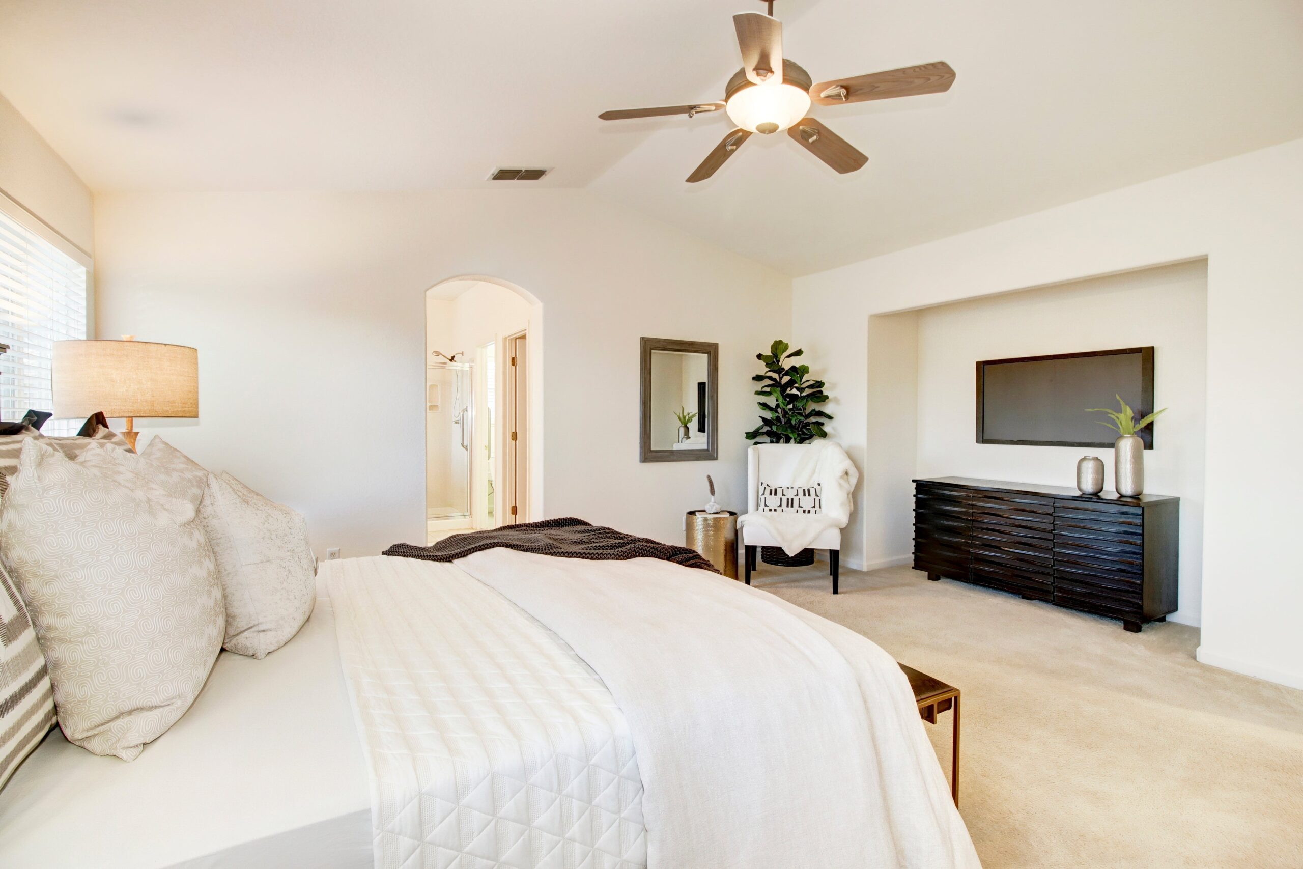 Hyde_Park_Cir_Antelope_12