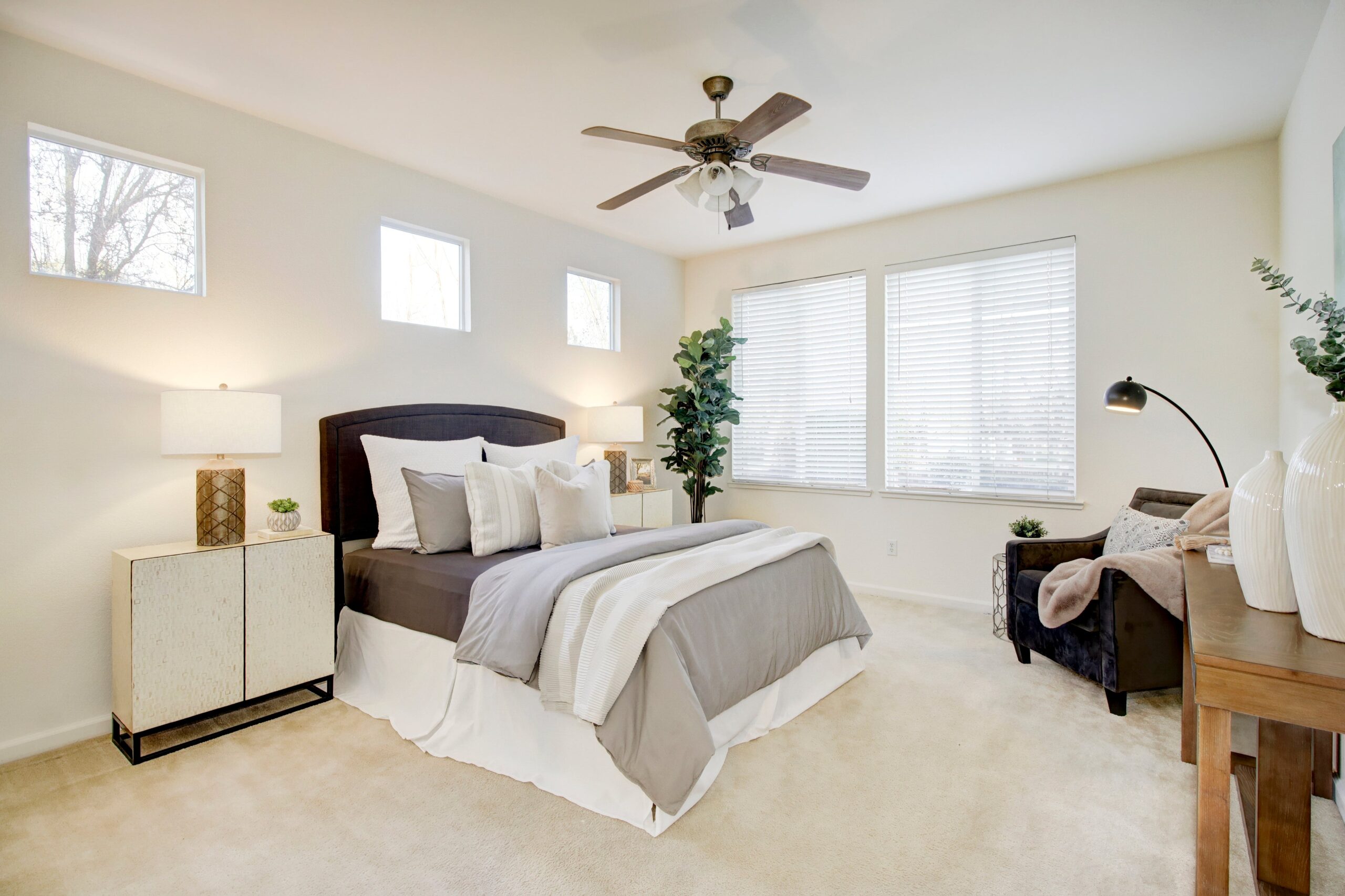 Hyde_Park_Cir_Antelope_14