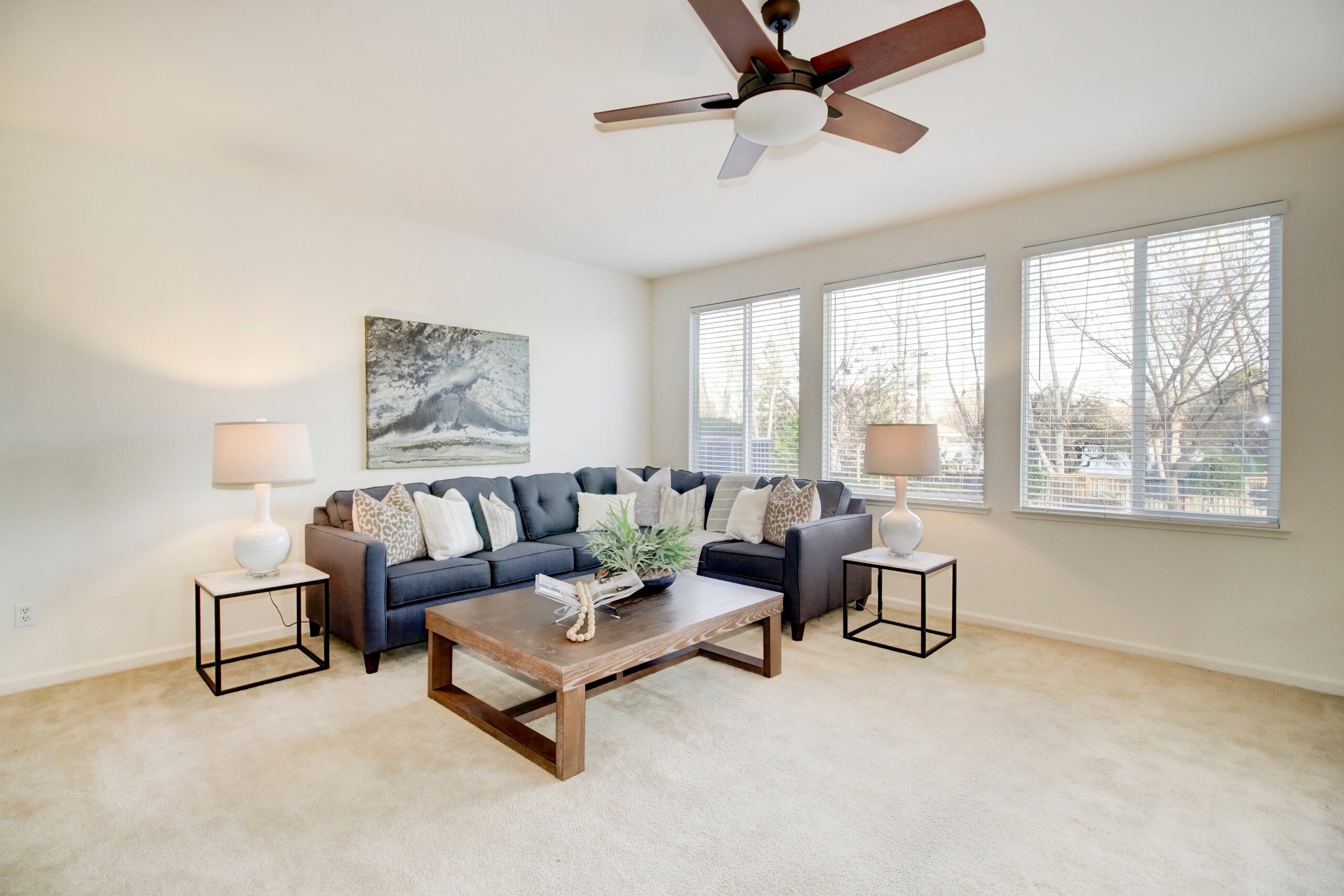 Hyde_Park_Cir_Antelope_5