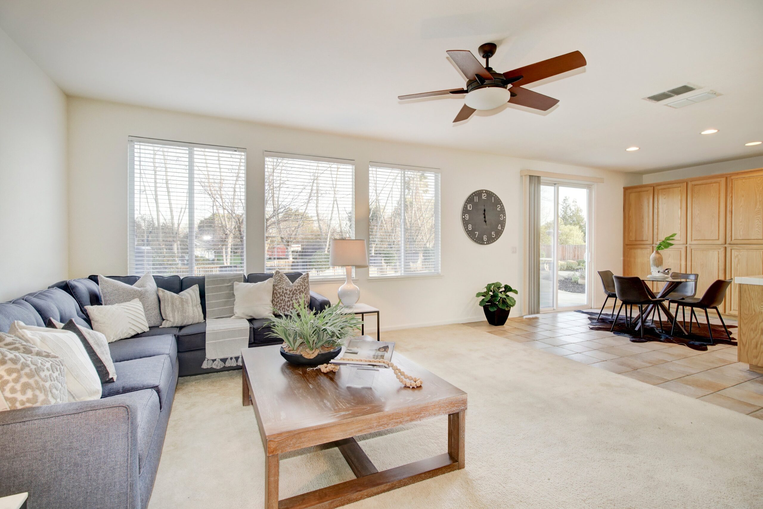 Hyde_Park_Cir_Antelope_6