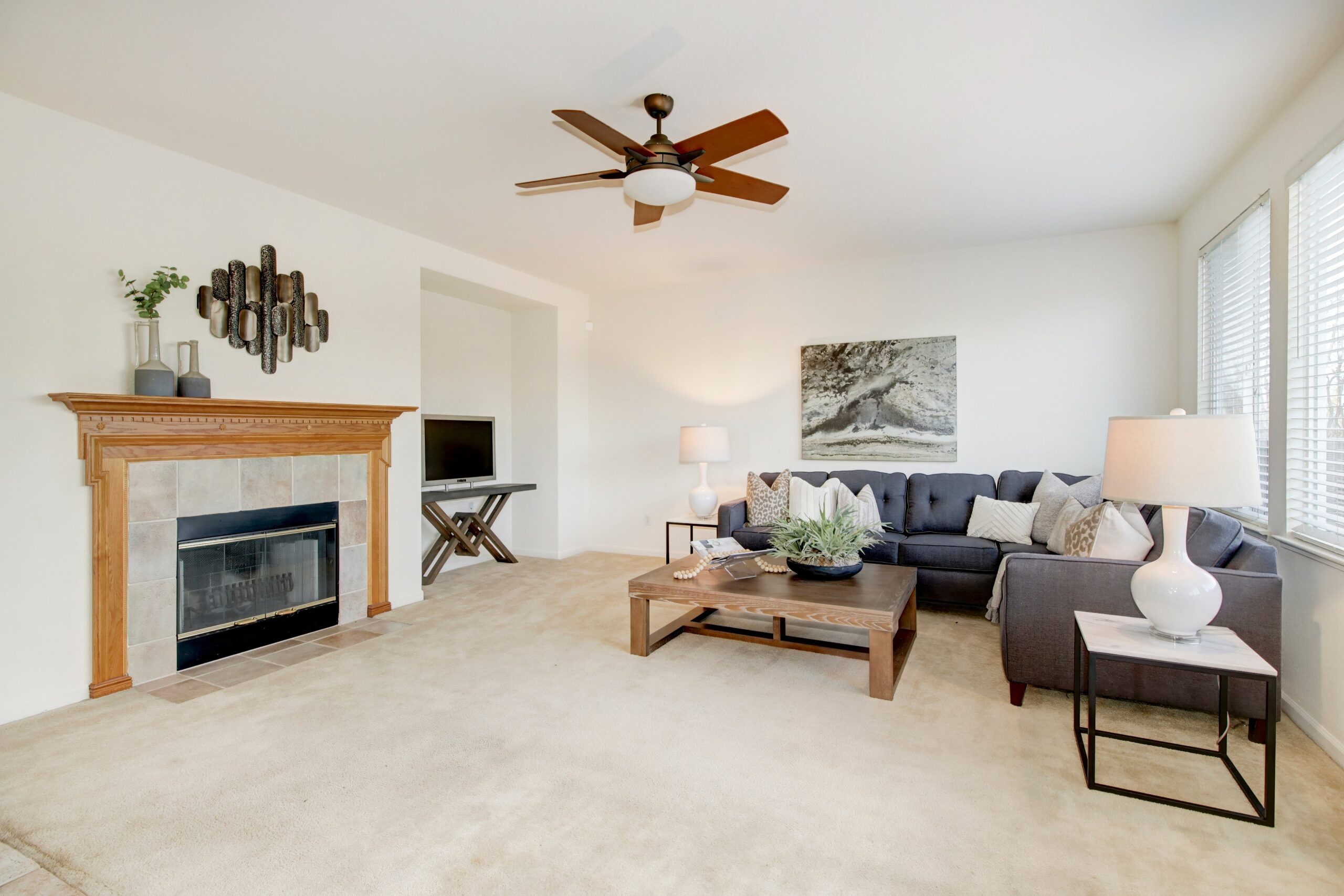Hyde_Park_Cir_Antelope_7