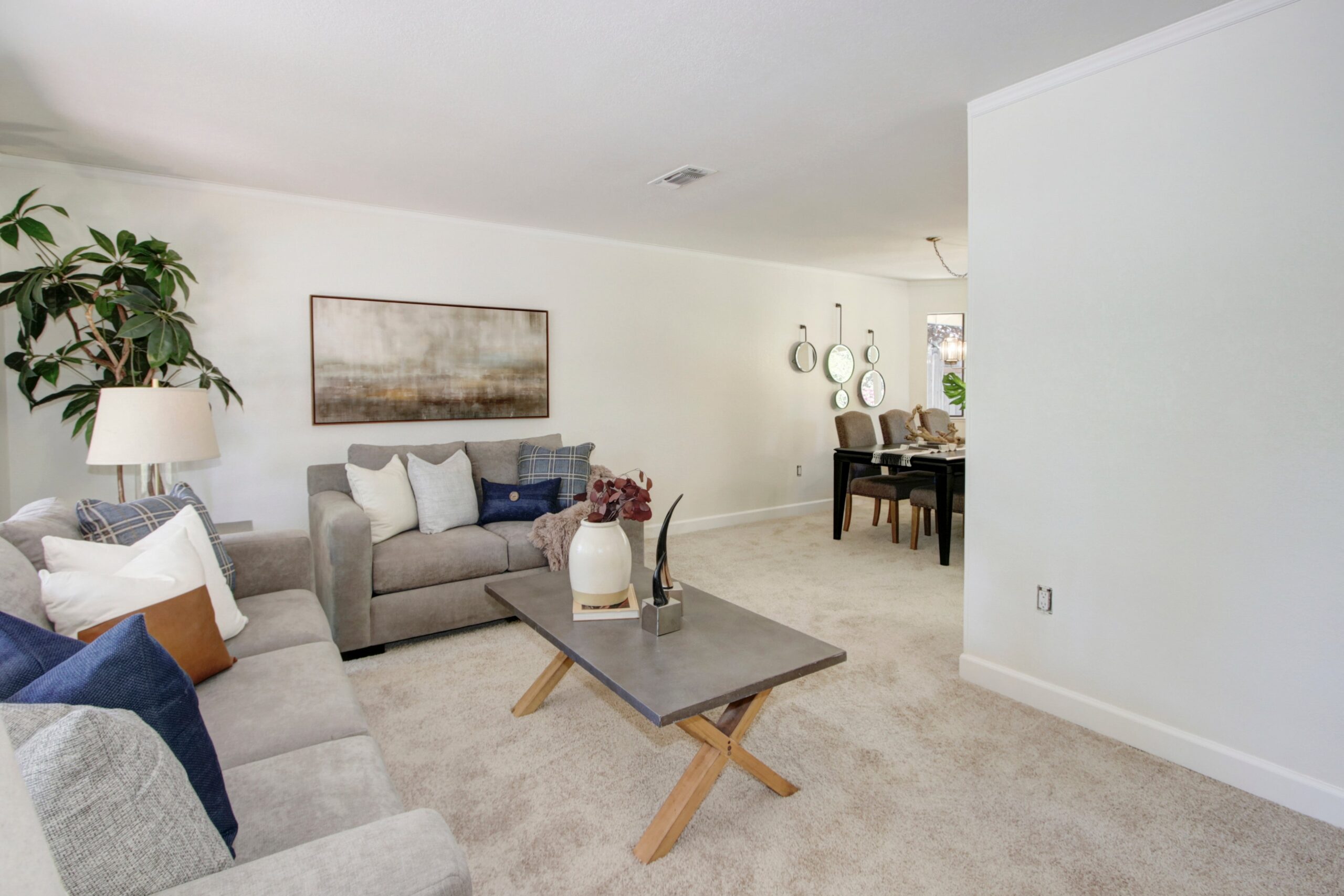Larkin_Dr_Roseville_10