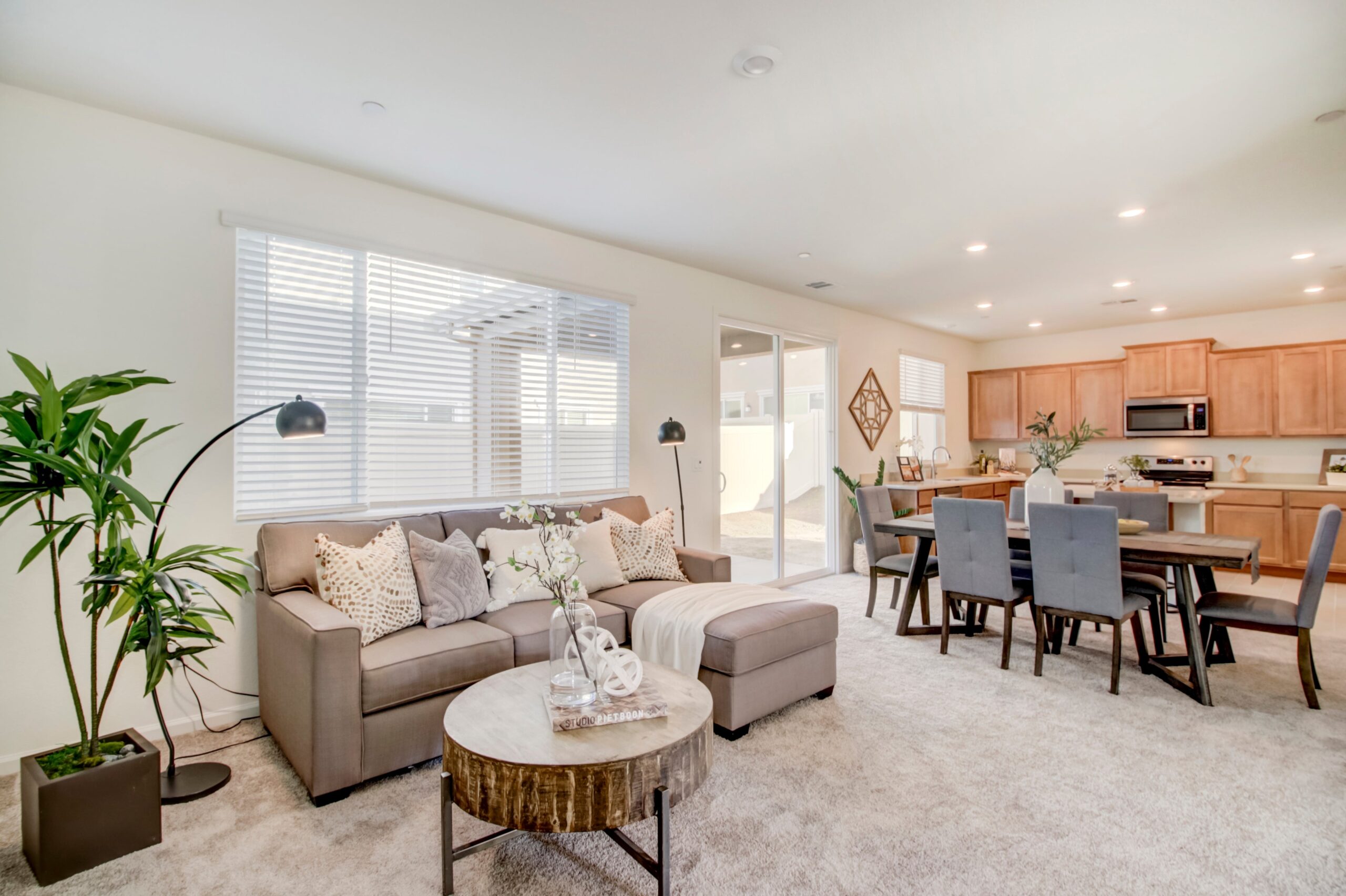 Lizzie_Cir_Citrus_Heights_10