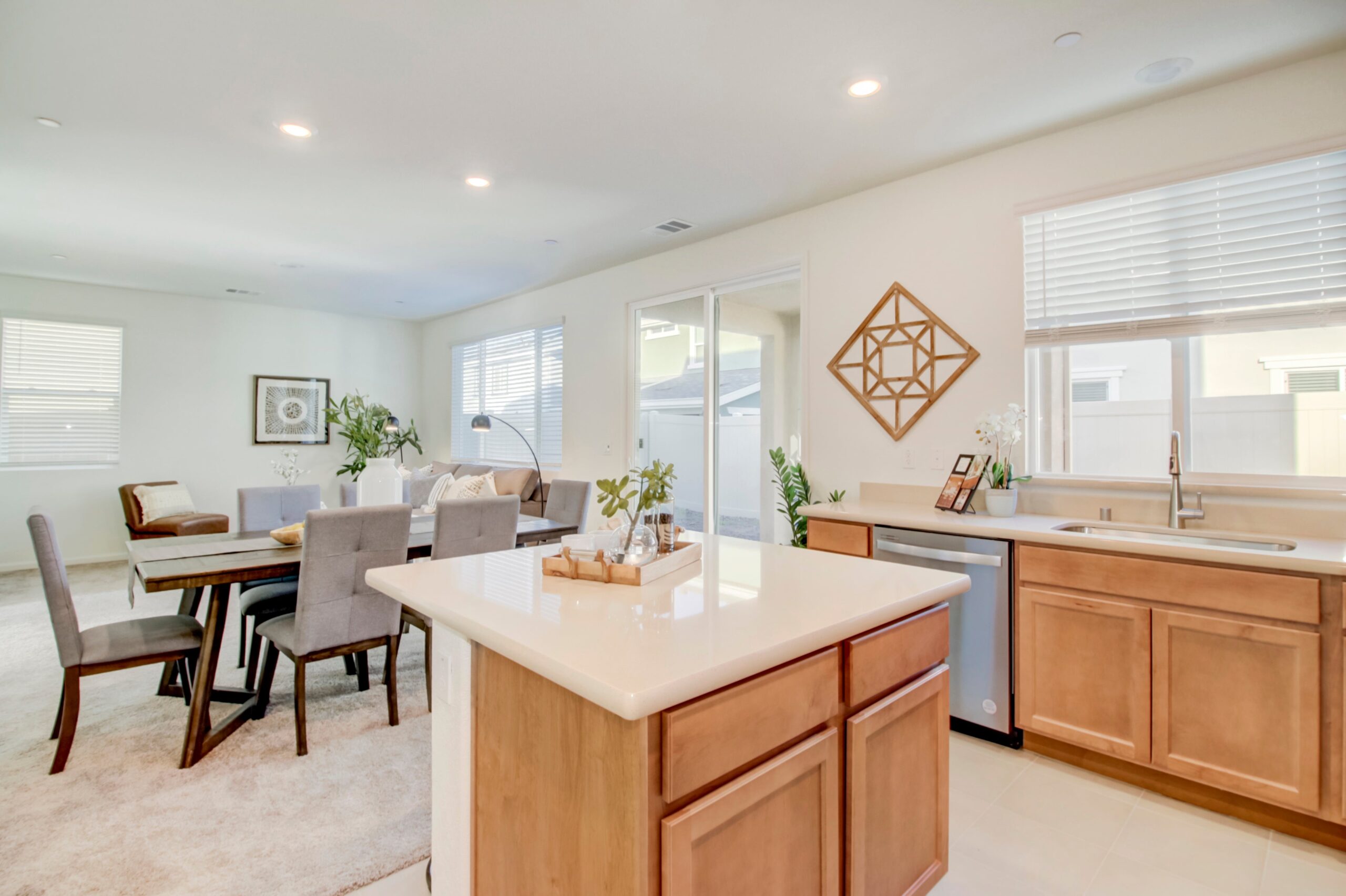 Lizzie_Cir_Citrus_Heights_3