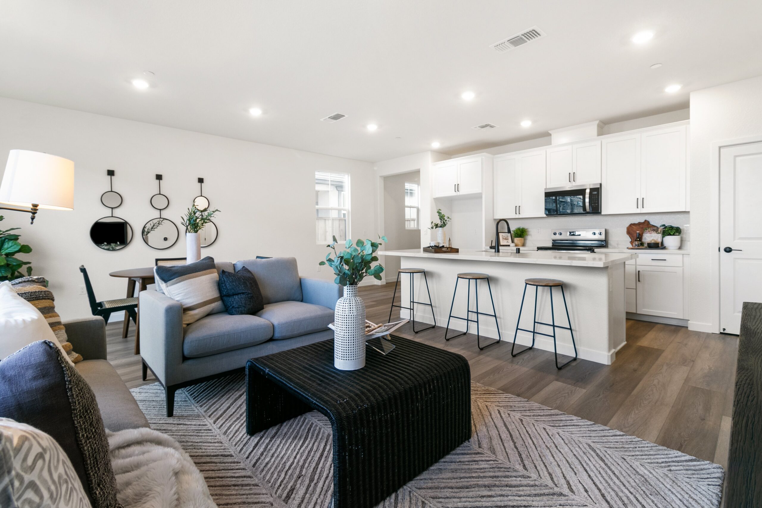N_Solvita_Way_Elk_Grove-2