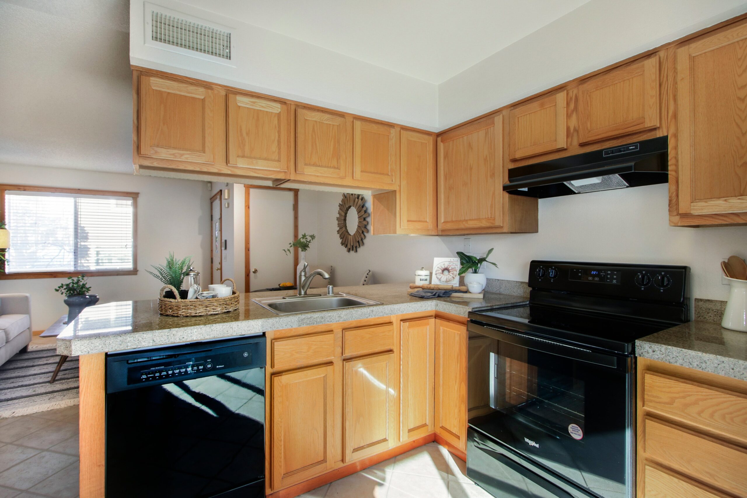 Palm_Ave_Sacramento_4