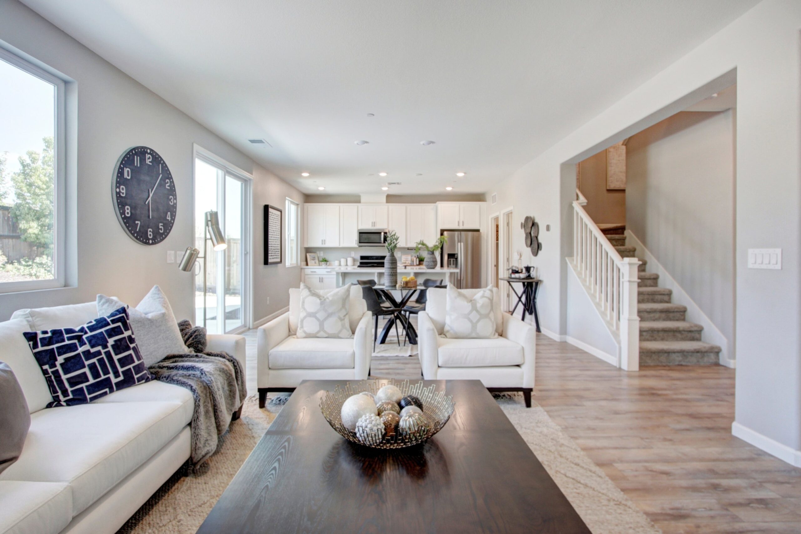 Silver_Lupine_Ln_Rocklin_1