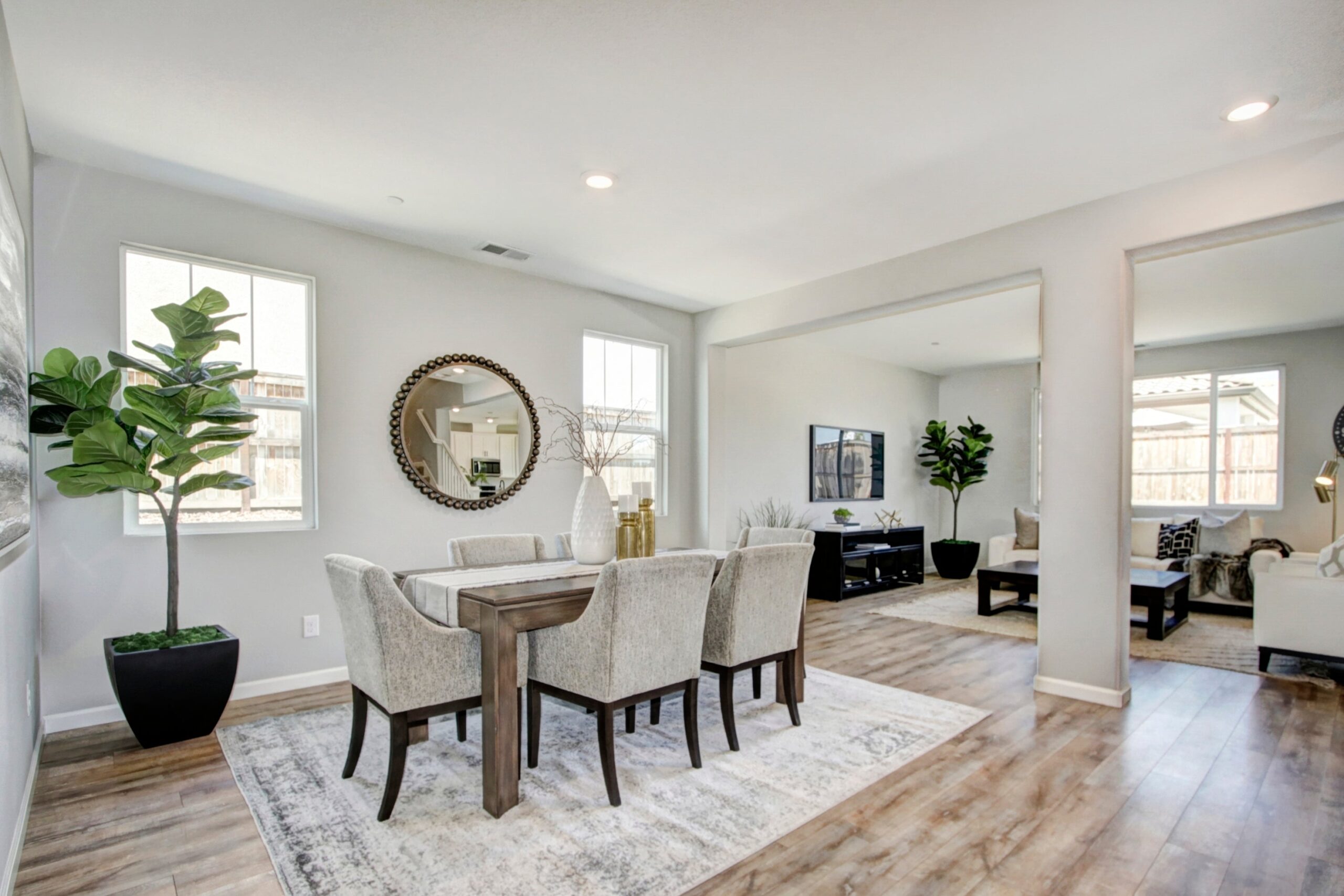 Silver_Lupine_Ln_Rocklin_10