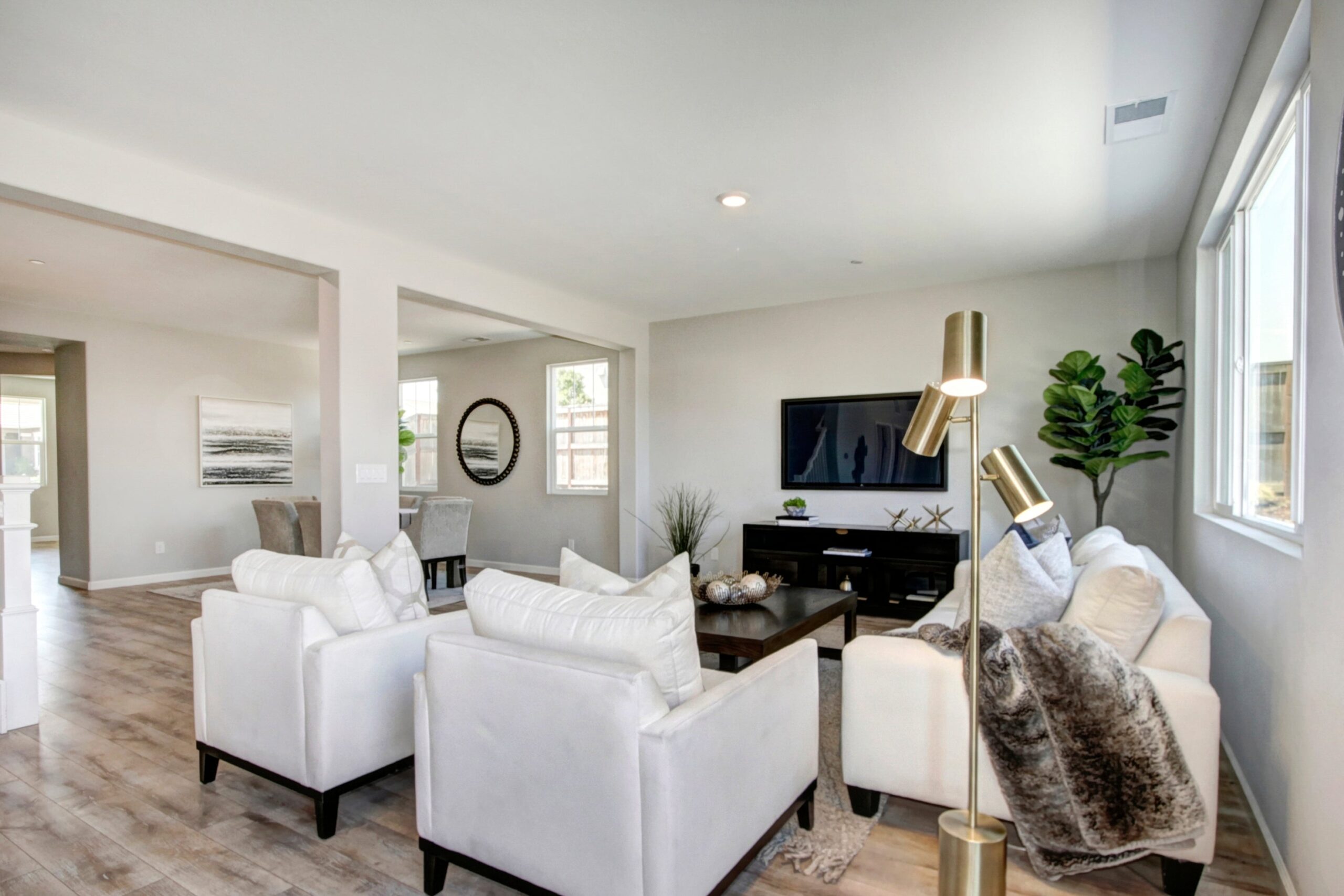 Silver_Lupine_Ln_Rocklin_12