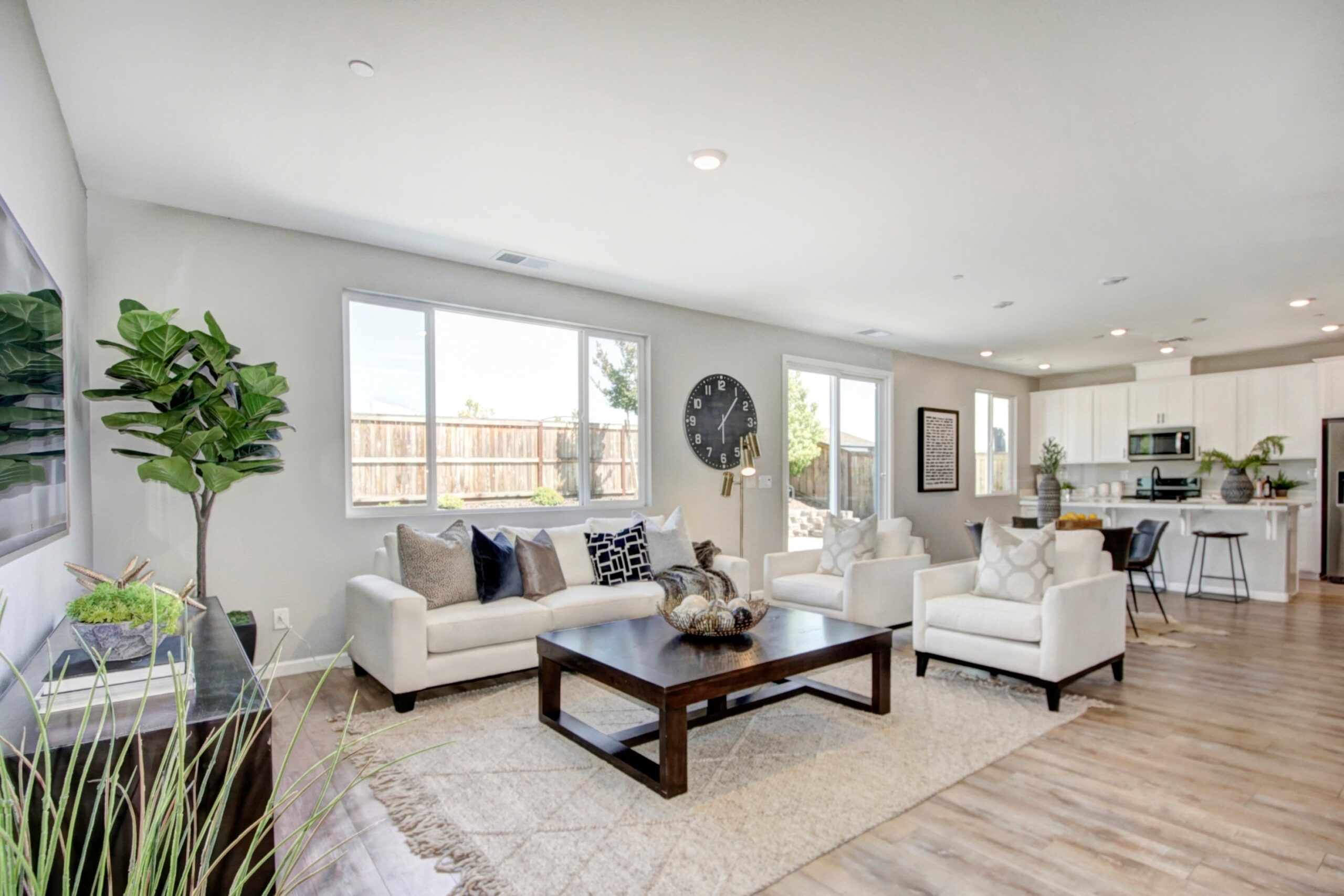 Silver_Lupine_Ln_Rocklin_15