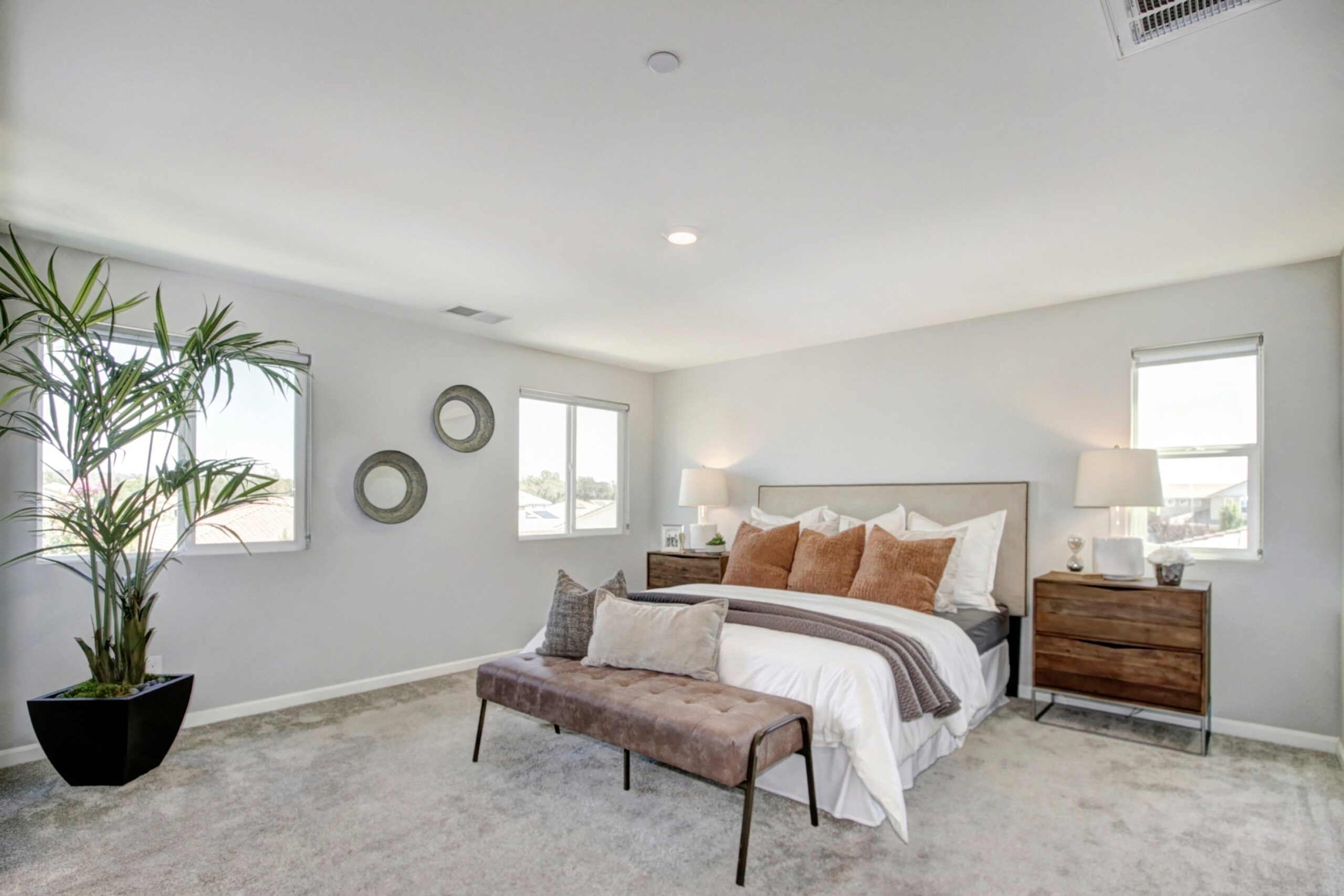 Silver_Lupine_Ln_Rocklin_6