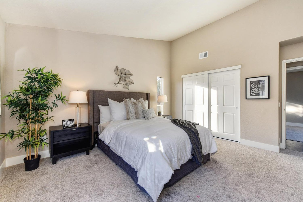 Sprig_Dr_Sacramento_11