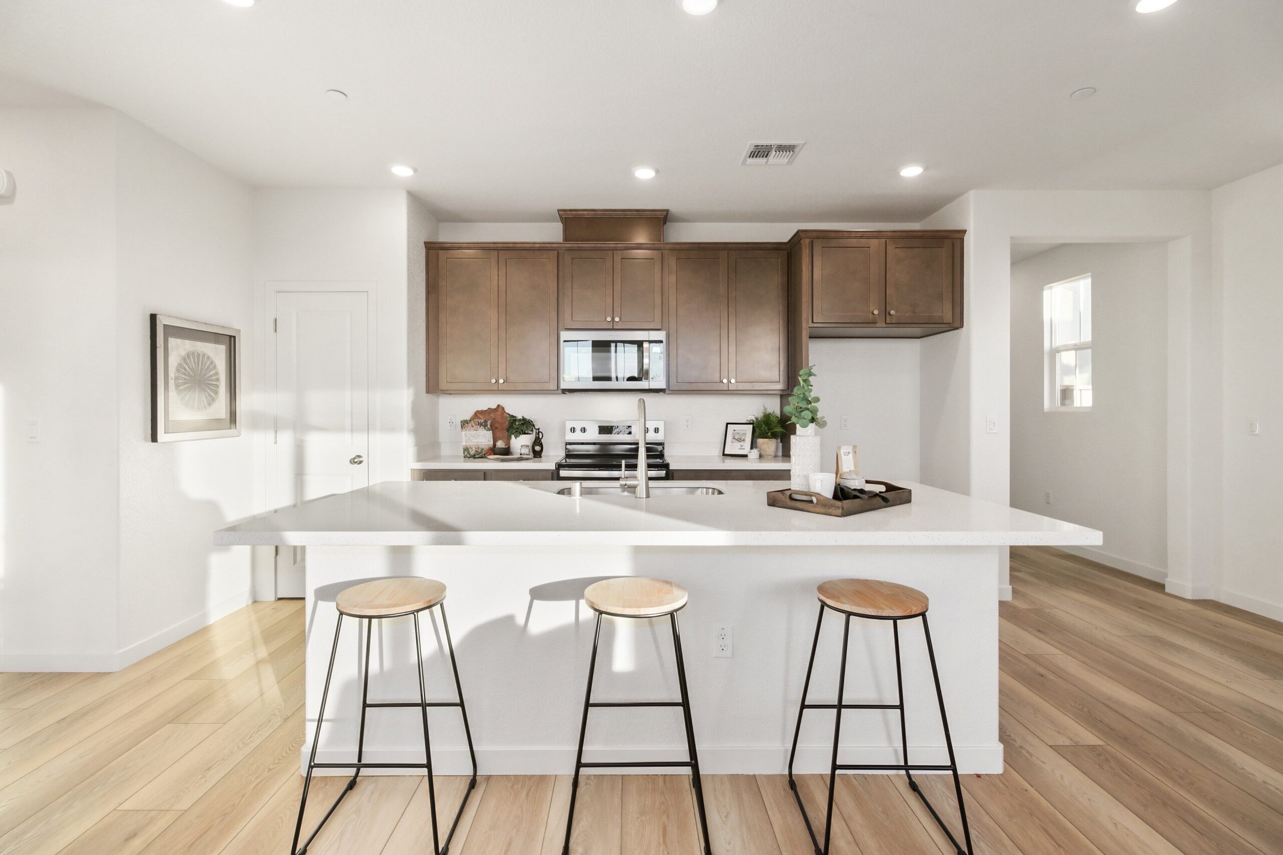 W_Solvita_Way_Elk_Grove_5