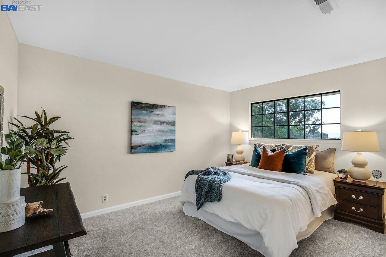 hackamore_dr_hayward_2
