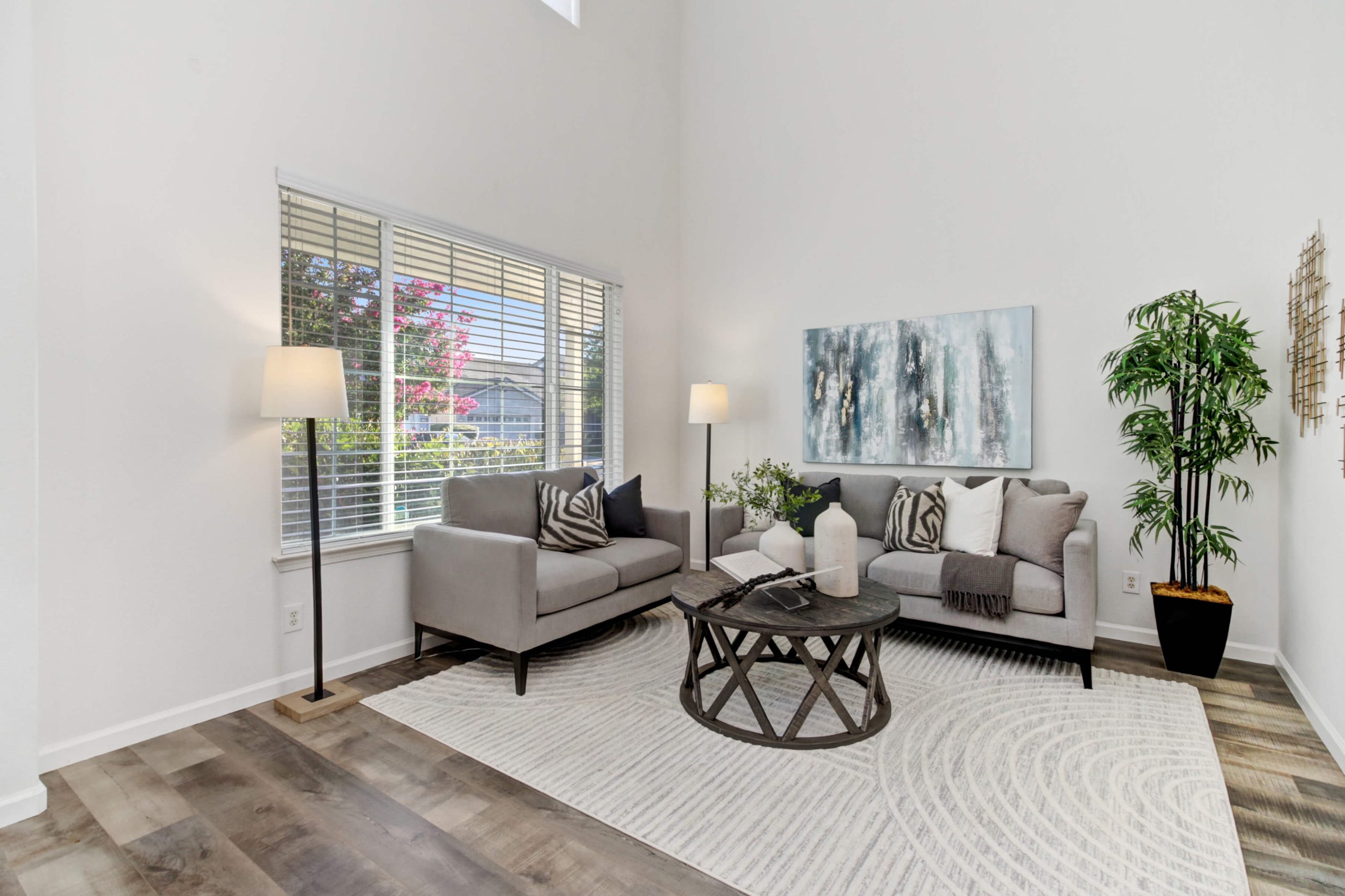 Dionysus Way, Rancho Cordova - Premiere Home Staging & Design