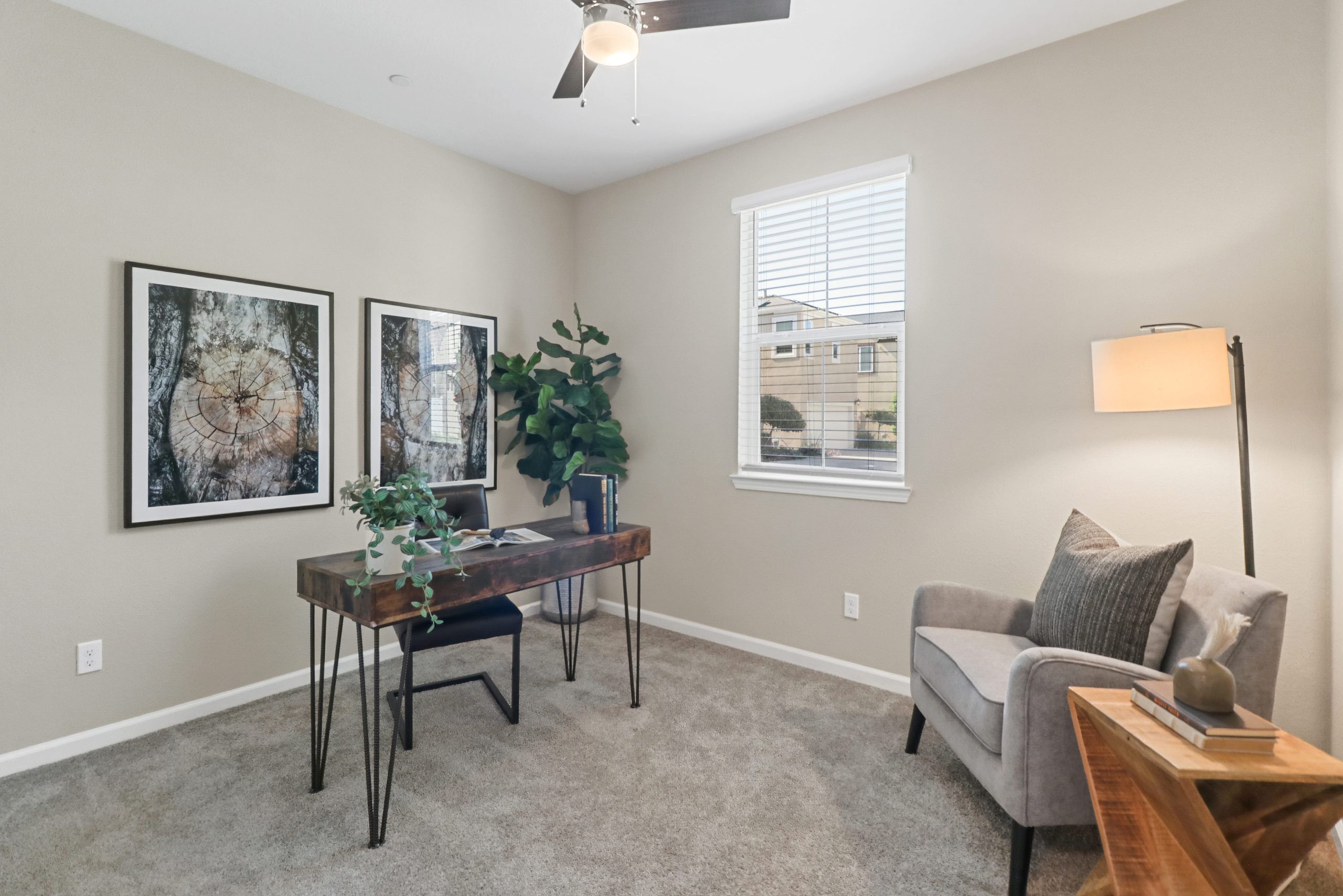 Provence Village Dr, Roseville - Premiere Home Staging & Design