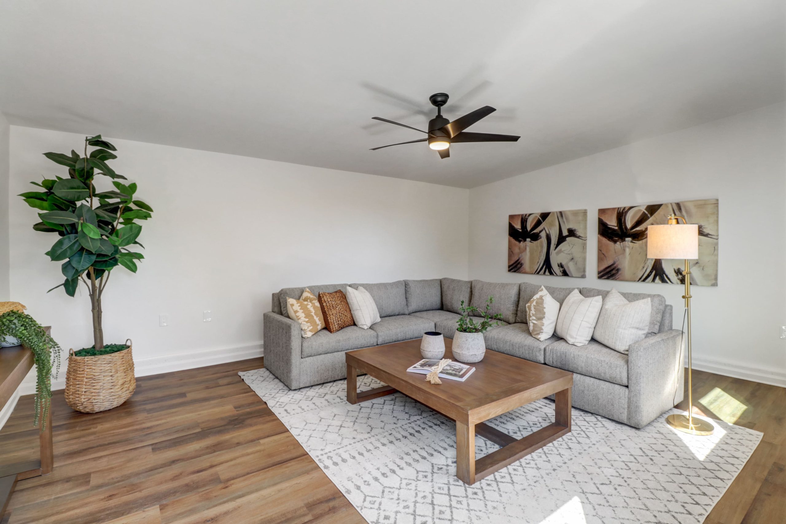 McClaren Dr, Carmichael - Premiere Home Staging & Design
